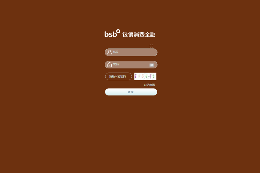 包银消费金融股份有限公司泛微OA系统项目验收
