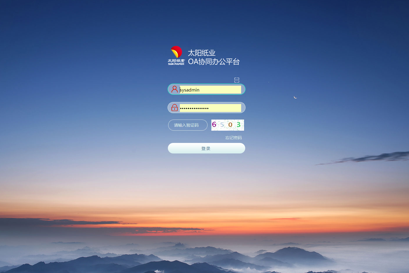山东太阳纸业股份有限公司泛微OA系统项目验收