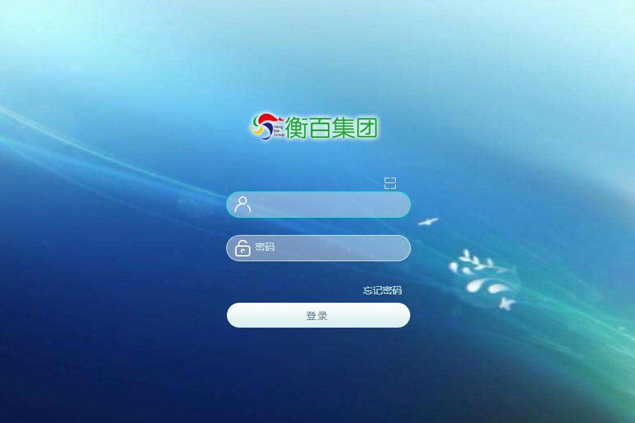 衡水百货大楼（集团）股份有限公司泛微OA系统项目验收